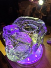 Ojuelos/Tula Authentic Pre-Mayan Alien Jaguar Transformation Skull from Guerrero picture