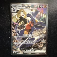 Cynthia's Garchomp ex 232/182 SIR Full Art Holo HP330 picture