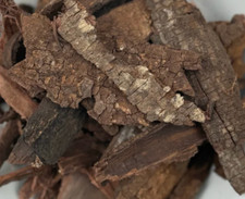Mexican Miracle Tree Whole Bark  (Tepez) Fresh Batch Mimosa picture