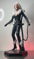 1:6 Custom Black Cat  Catwoman Female Phicen Figure w Hot toys Parts & Stand 12