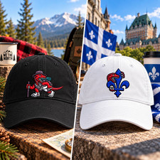 HOT NEW  Toronto Raptors Canada Games 2026 Embroidered Hat NBA Other Fan Gift picture