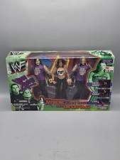 WWF WWE Team Xtreme Matt Hardy Jeff Hardy Lita Box Set Jakks 2001 New Vintage picture