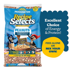 Pennington Shelled Peanuts Wildlife and Wild Bird Food, 5 lb. Bag, 1 Pack, Dry picture
