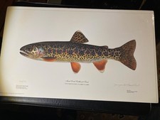 Rare 1992  Cutthroat Trout Giclee Art Print by Joe Tomelleri Hand Signed 422/500 picture