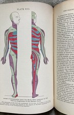 Organic Nervous Diseases, Early Neurology, Collectable, 1st. Ed., Starr, 1903 picture