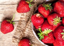 5 to 1000 SEQUOIA Strawberry Plants  CERTIFIED  Great in California & the South picture
