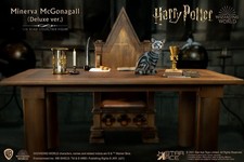 Star Ace Toys Minerva McGonagall (Desk Pack) Sixth Scale Figure Accessory picture