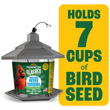 Pennington Earth Smart, Gray Plastic, Hopper Wild Bird Feeder, 2.5 lb. Capacity picture