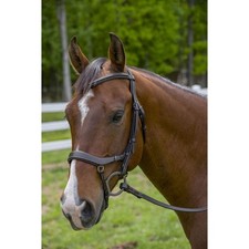 Henri de Rivel Pro Anatomical Bridle picture