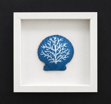 Hand-painted Blue Scalloped Shell Coral Art. 8”x 8” Framed Shadow Box- Coastal picture