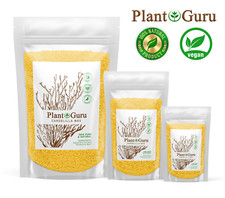Candelilla Wax Pellets 100% Pure Natual Vegan Wax - Beeswax Substitute picture