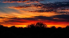 Color Landscape Photograph Sunset Sky Clouds Trees Nature Landscape Art picture