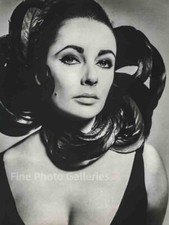 1964 ELIZABETH TAYLOR Movie Actress By RICHARD AVEDON Duotone Photo Art 16x20 picture