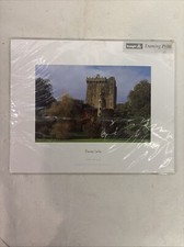 The Blarney Castle Ireland Photograph Print Peter Zoller Matted Insight 8x10 New picture