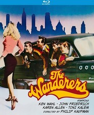 WANDERERS (1979)-WANDERERS (1979)  picture