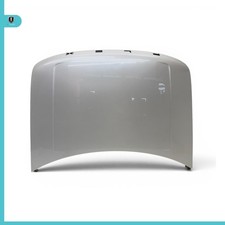 2009-2019 Ford Flex Front Hood Assembly white OEM picture
