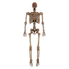 5 ft Poseable Human Size Decayed Skeleton Skull w/LED Eyes Halloween Decor Props picture