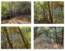 Gold Claim 20 Acre Camping mining Prospecting River hunting nuggets fun mine picture