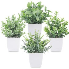 Der Rose 4 Pack 7