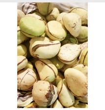 fresh kola nuts 10 in a bag picture