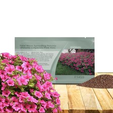 15 Seeds Tidal Wave Spreading Petunia Pink Hot Flower Seeds picture