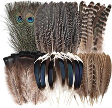 Natural Feathers Bulk - 55PCS - 6 Styles Assorted Natural Feathers, Peacock picture
