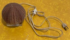 Vintage Sea Urchin Shell Night Light Accent Table Lamp Base Antique picture