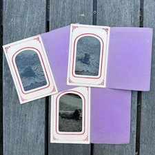 LOT of 3 CIRCA 1860-1900 ANTIQUE TIN TYPE DOG PHOTOS picture