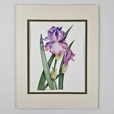 ART - Signed Sister Mary Connors Original Watercolor Painting 14x11 Iris By Nun picture