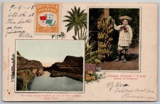 1908 Panama Canal Zone Postcard Bas Obispo Bananas Boy Maduro Photo picture