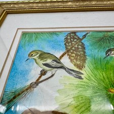 Vtg Original Watercolor Pine Warblers Bird Painting Framed Christmas Birds Tree picture