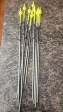 Pack of 10 Easton 6mm Full Metal Jacket Arrows - 320 Spine & 26 1/2 picture