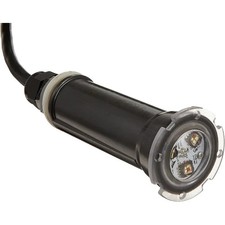 PENTAIR GloBrite White LED Light 12V 15W 100' Cord - 602104 picture