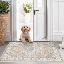 Washable 2X3 Entryway Area Rug - Neutral Kitchen Rug Runner Vintage Soft Floor M picture