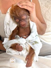 Reborn Full Body Silicone Orangutan Baby Monkey Realistic Animal Art Doll picture