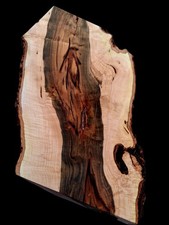 XL MIND BLOWING BLUE SAWN Maple Burl wood BlanknAMBROSIA Maple CURLY Maple Burl  picture