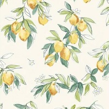 Wallpaper Lemonade Citrus Watercolor Lemons Green Leaves Blossoms on White picture
