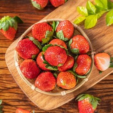 100+Red Strawberry Seeds Big Flesh Fruit Perennial Container Garden USA picture