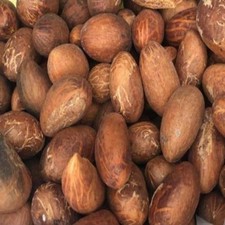 Fresh Orogbo- Bitter Kola Nuts –Garcinia Kola –6 Whole African Bitter Kola Nuts. picture