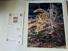 Bev Doolittle Prayer For The Wild Things Signed/N LE Print 30968/65000 & COA picture