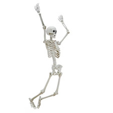 Hanging Posable Skeleton Decoration, White, 5', Halloween by Way To Celebrate picture