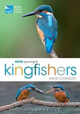 RSPB Spotlight Kingfishers By David Chandler picture