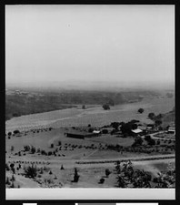Brentwood farmland in the Santa Monica Canyon 1904 detail 4 Califo - Old Photo picture