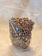 New Mexico Piñon Pine Nuts 2024 |  8oz ~ Roasted & Salted Pinon picture