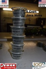 6 cups of JAVA MOSS plants Easy Aquarium aquascaping planted tank low light easy picture