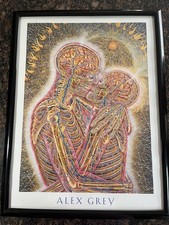 Nicely Framed Alex Grey Anatomical  “Kissing” Print Poster, 19x25 Tool. Perfect picture