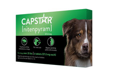 Capstar Nitenpyram 6 Doses for large Dogs over 25 lbs  Exp 2028 picture
