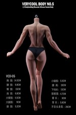 VERYCOOL VCD-05B 1/6 Female Muscular Physique Natural Skin Platinum Silicone Bod picture