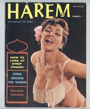 Harem #3 Terri Higgins Centerfold 1950 Art Photography 68p Pinup Magazine M36388 picture