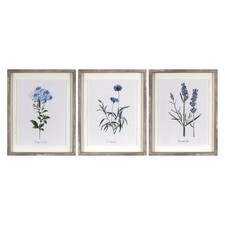 (Set of 3) 16